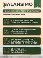Сухой корм для стерилизованных кошек холистик Balansimo Holistic с лососем и рисом, 2 кг