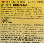Сальвия Огненный закат СМЦ-753