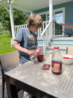 Seginus NVS-059 set of 6 Brown/Cappucino (Обеденная группа стол 1шт, стулья 6шт) , Novussi