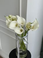 Калла белая