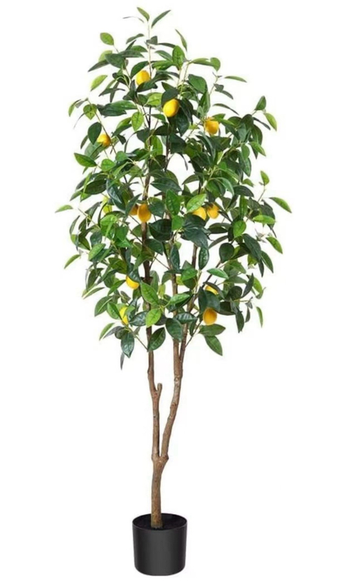 Лимонное дерево 150 см