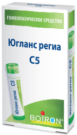 Югланс региа (Juglans regia) C5 Буарон
