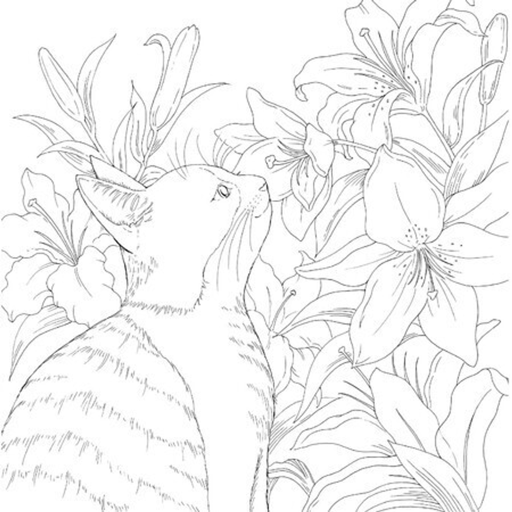 Days with Cats and Flowers. Coloring Book