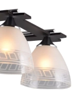 Люстра потолочная LOTER  E27*6*60W венге, хром, прозрачный