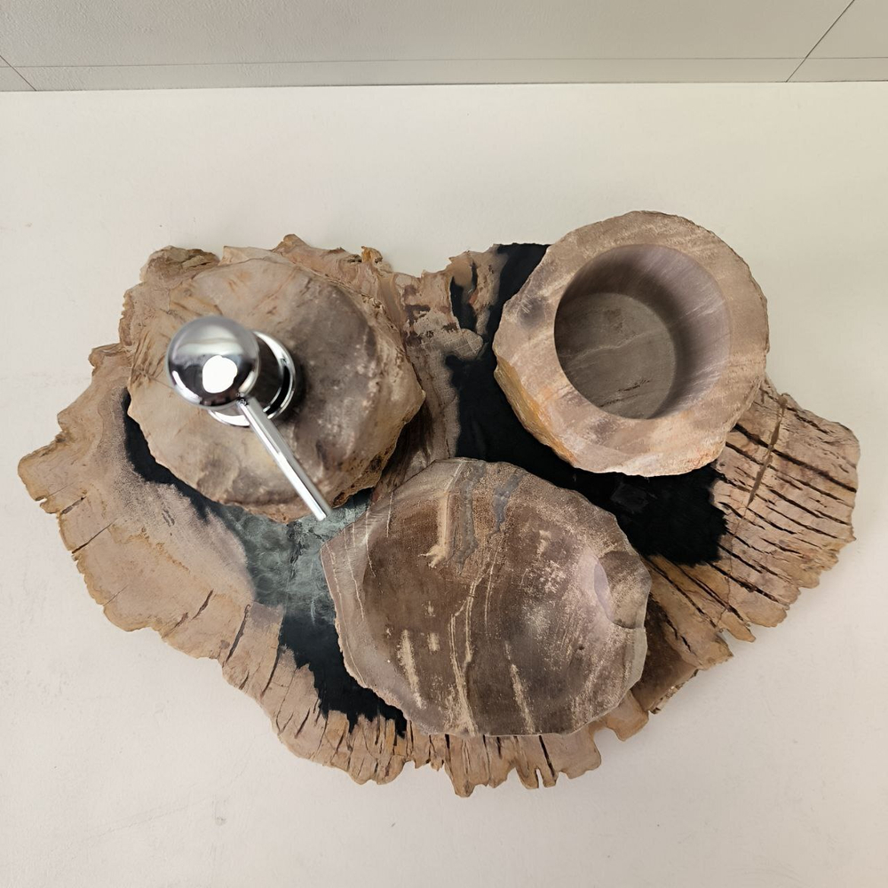 Набор из окаменелого дерева 4 предм Fossil Set NF-63281 поднос 149