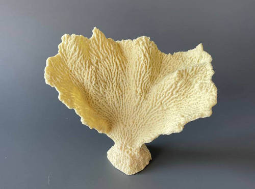 Кр-1400н св Коралл веер 17*7*15