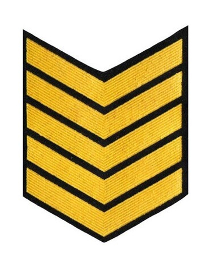 Курсовка пластизол. 5 курс