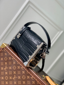 Louis Vuitton Side Trunk MM