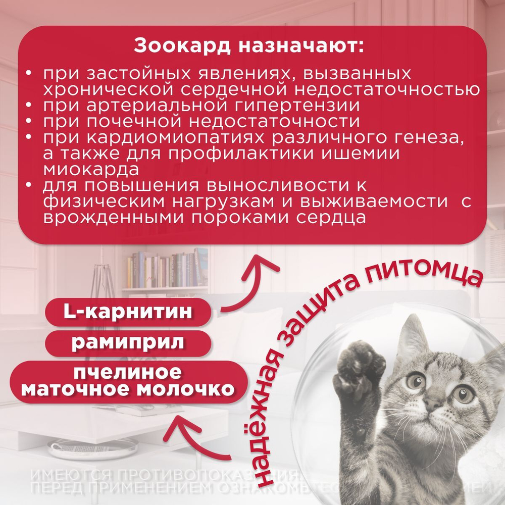 Зоокард Пчелодар Средство для лечения заболеваний сердца у кошек, 1,2 мг, таблетки, 10 шт. Рамиприл.
