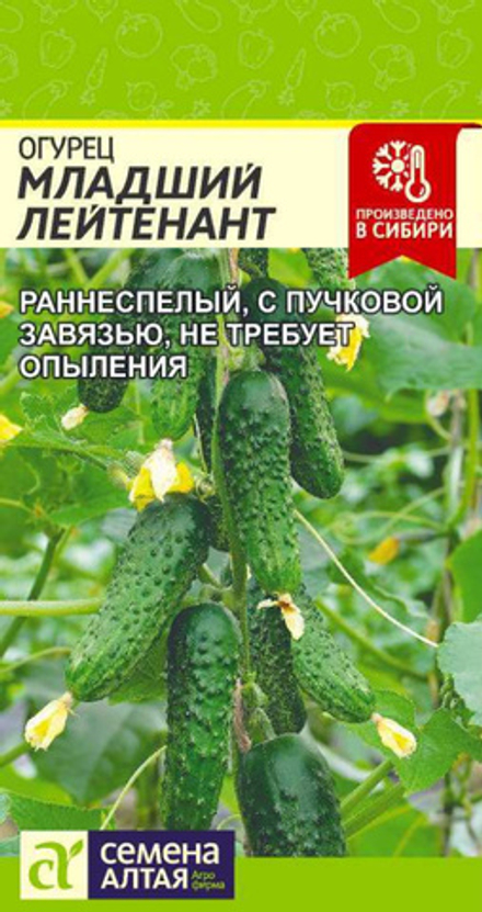 Огурец МЛАДШИЙ ЛЕЙТЕНАНТ F1 цв.пак. 5 шт. Семена Алтая