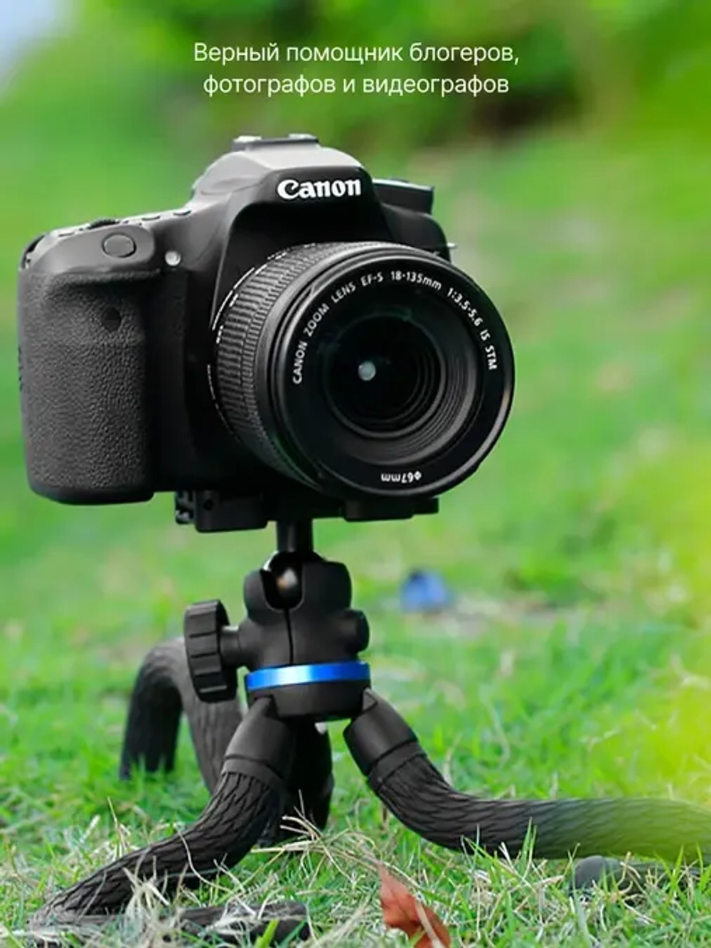 Штатив компактный RayLab MTF-SCB с головой и держателем для смартфона