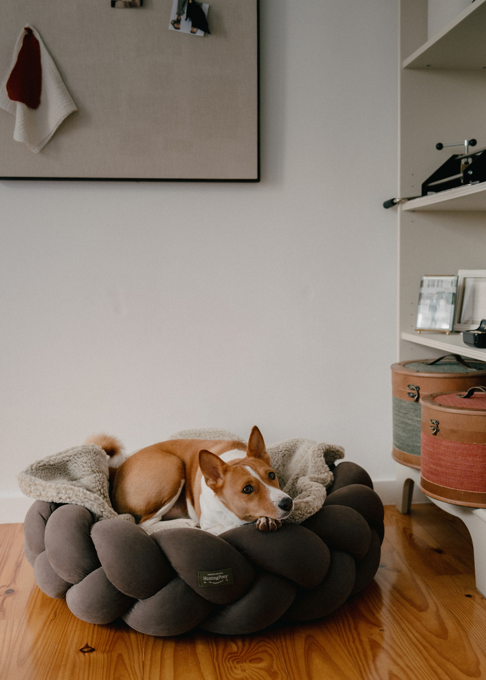 Лежанка "Пони-Колосони" Шоколад