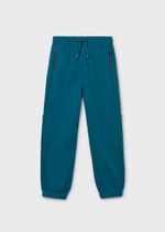 спортивные брюки