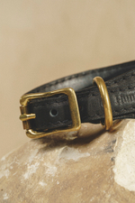 Ошейник "Пони-Селедка" Черный