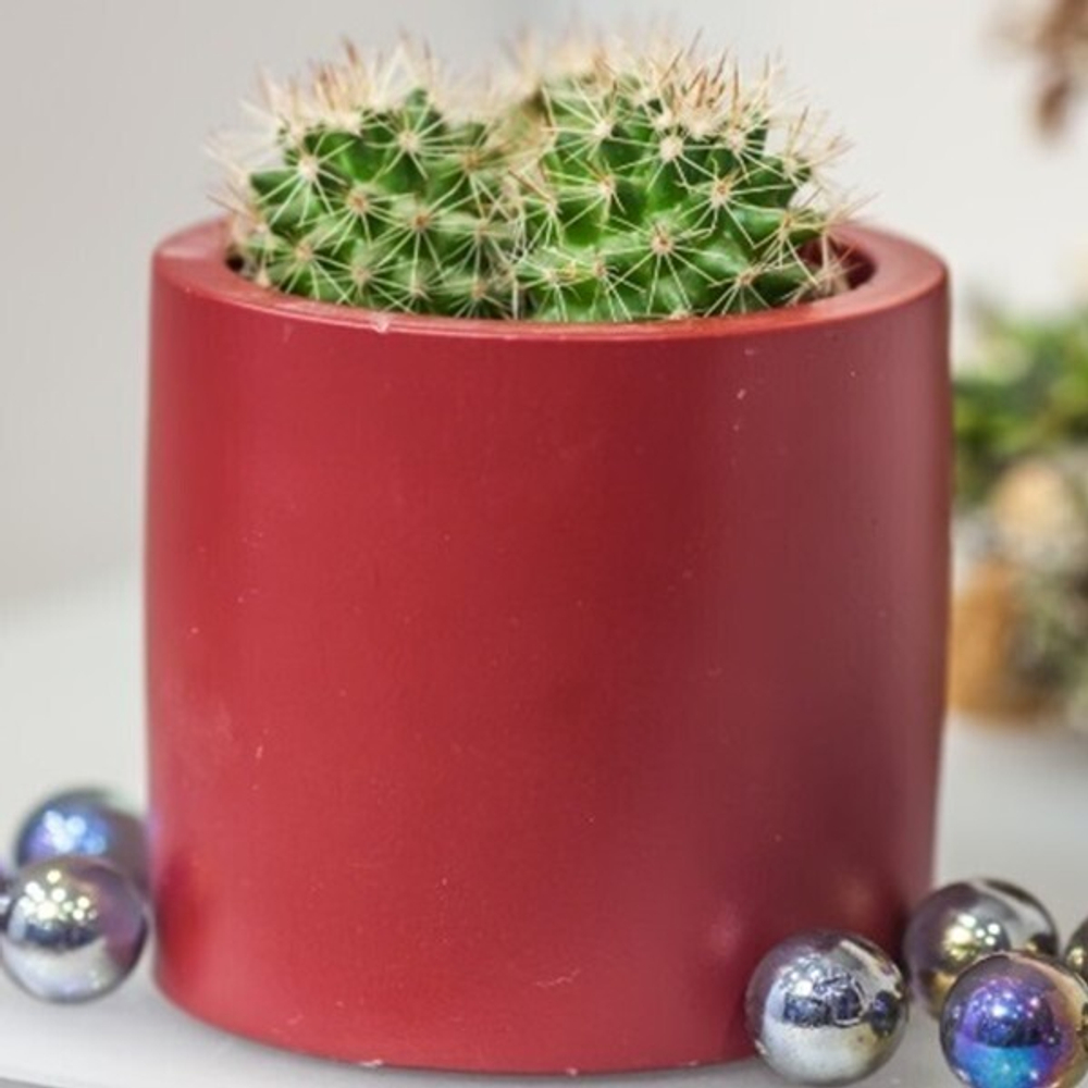 Кашпо керамическое Эко VipSet 0,22л бордо