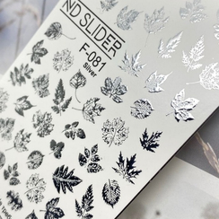 F-81 (серебро)