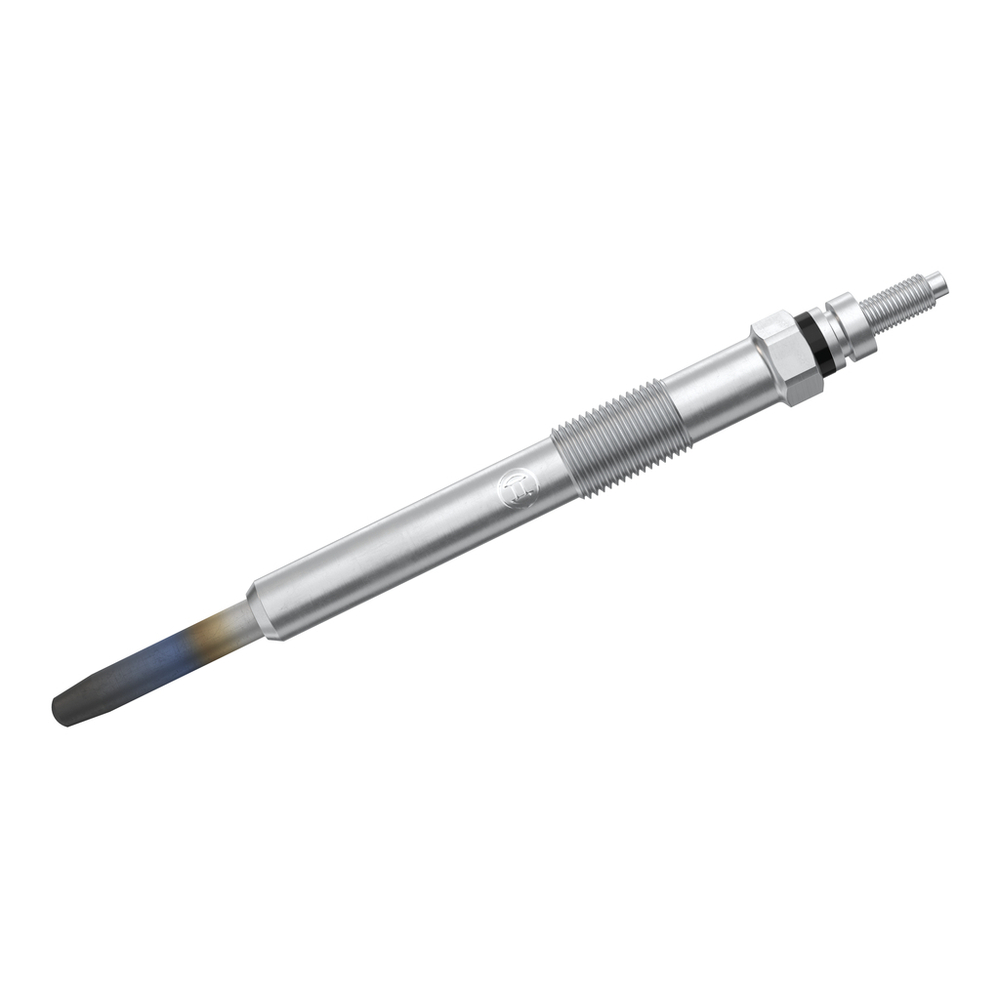 BOSCH - 0250202048