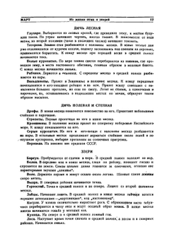 Год охотника. Настольный справочник-календарь | С.С. Качиони