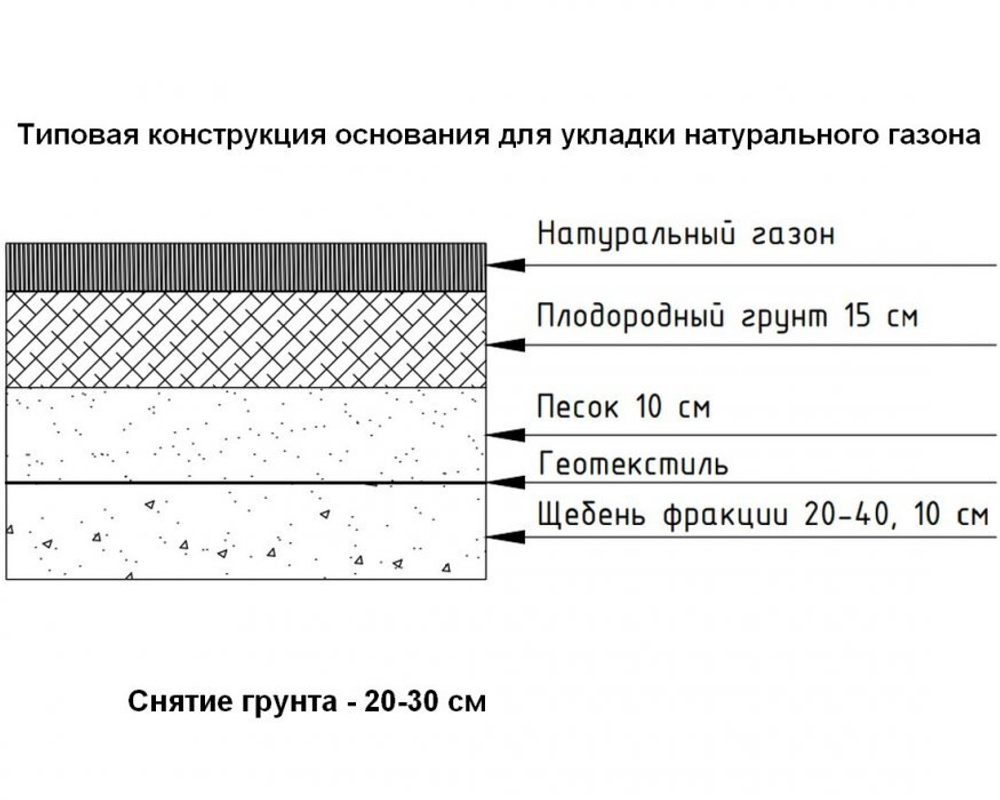 Натуральный рулонный газон Стандартный