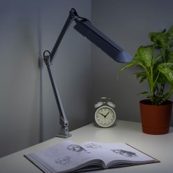 Настольный светильник ЭРА NL-201-G23-11W-GY с лампой PL на струбцине серый | Настольные светильники под лампу