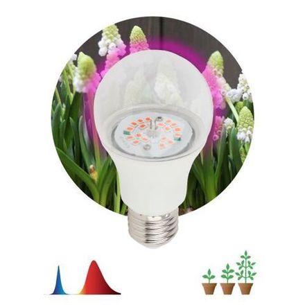 Лампа светодиодная FITO-14W-RB-E27-K 14Вт A60 грушевидная прозрачная 1310К E27 130-270В для растений красн./син. спектр Эра Б0039071