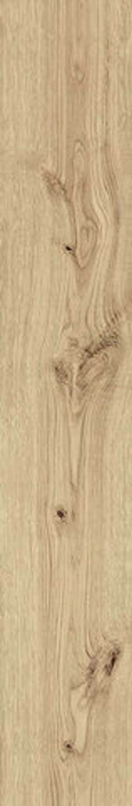 Atlas Concorde Exence Vanilla 20x120