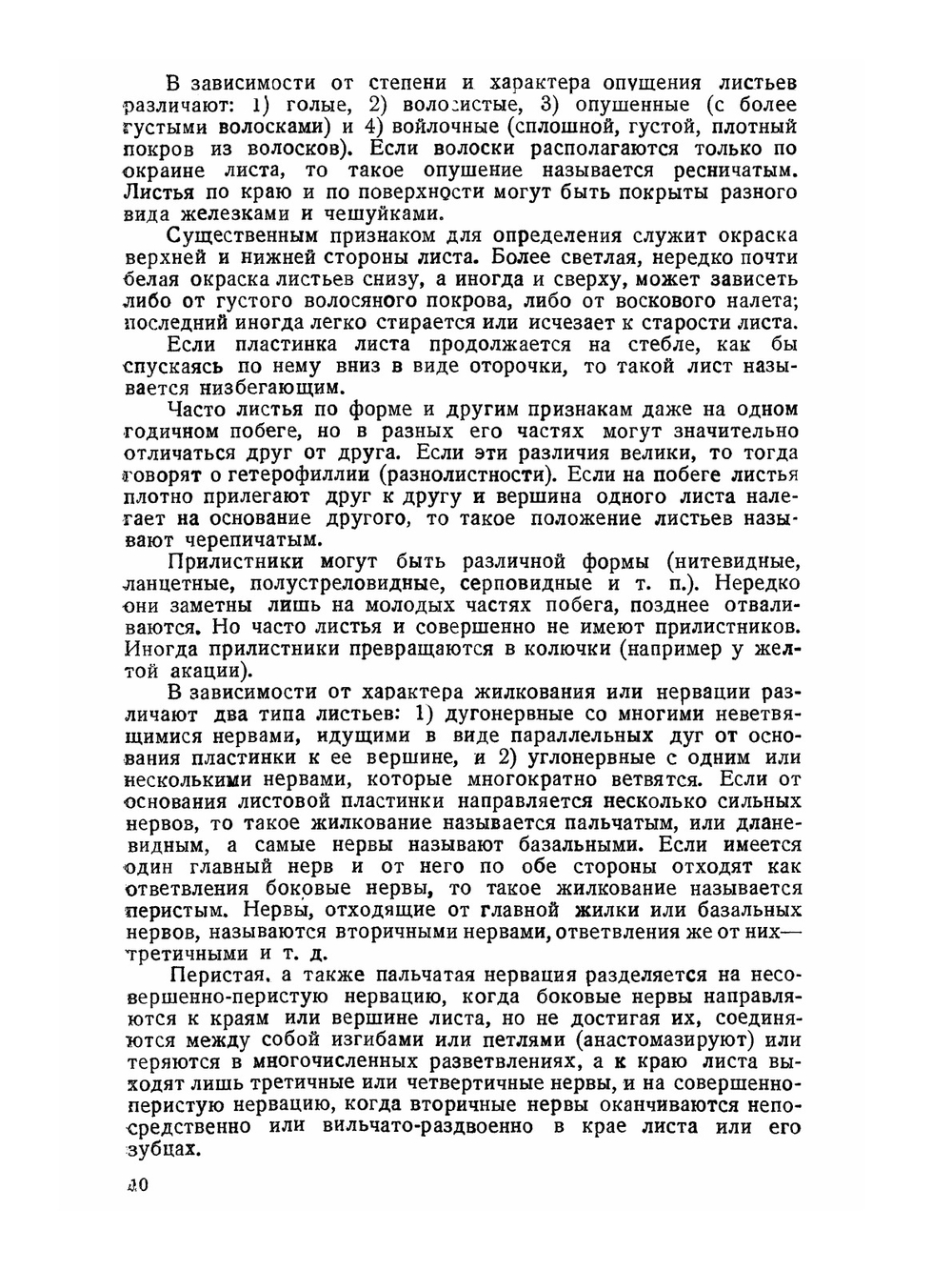 Определитель древесных пород | В. Н. Сукачев