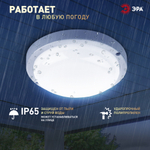 Светильник ЖКХ светодиодный ЭРА SPB-201-0-65K-012 IP65 12Вт 6500К D155 круг