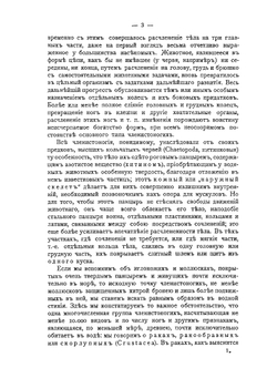 Эволюция мира. Том 2 | К. Штерне