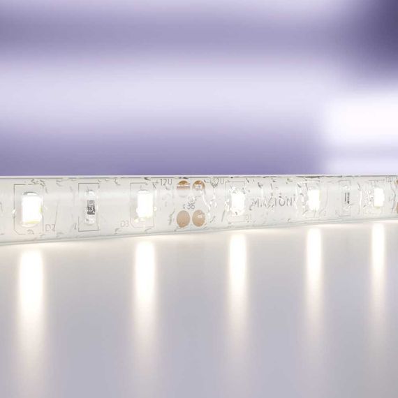 Светодиодная лента Standard Maytoni Led Strip 20005
