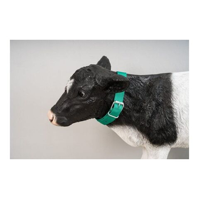 Ошейник для КРС маркировочный с ременной застежкой, ширина 40 мм, длина 130 см, цвет зеленый