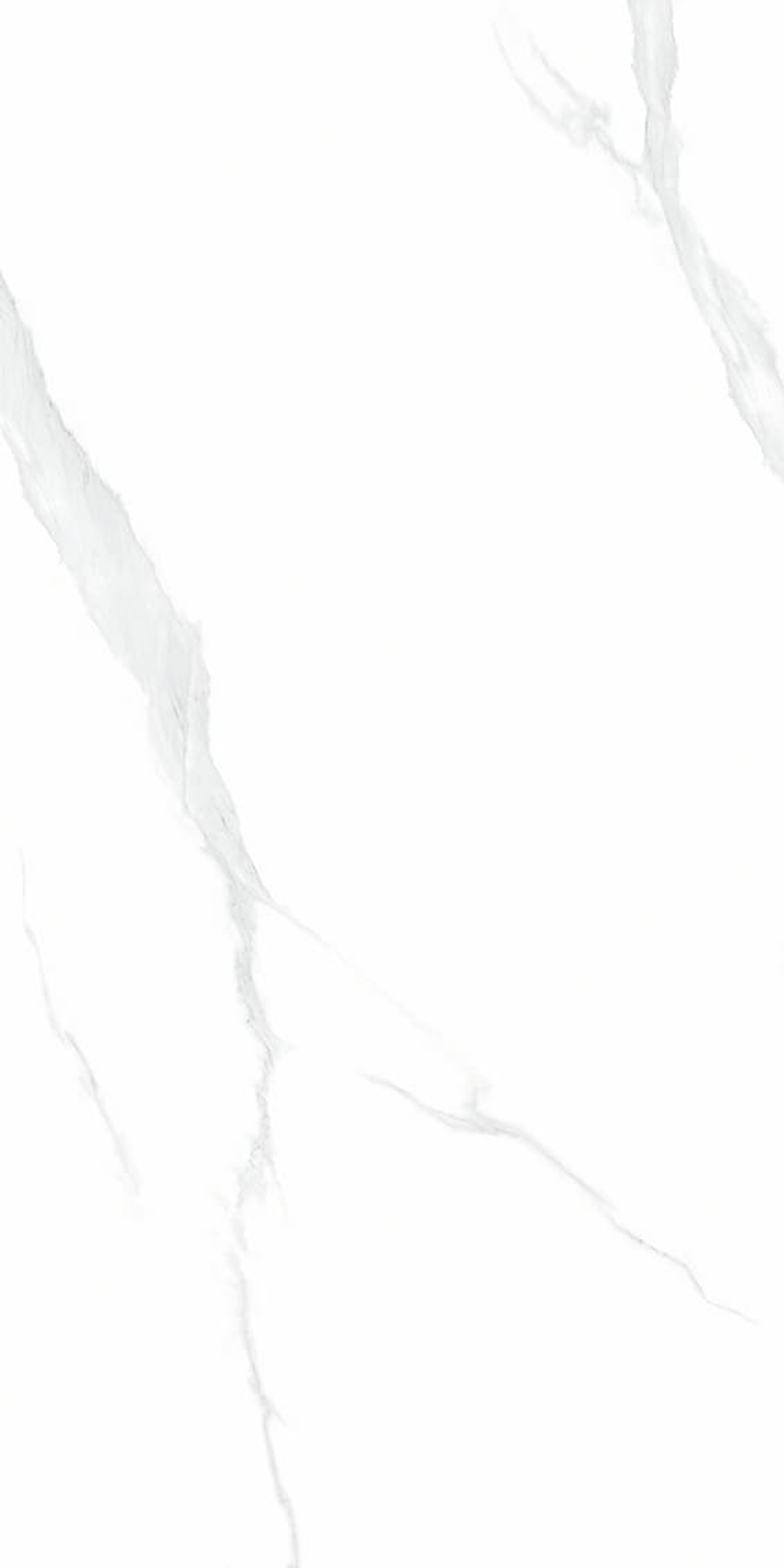 NT Ceramic Bright And Shiny NTT9106 Statuario 60x120