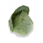 Ориема F1 семена капусты белокочанной (Rijk Zwaan / Райк Цваан)