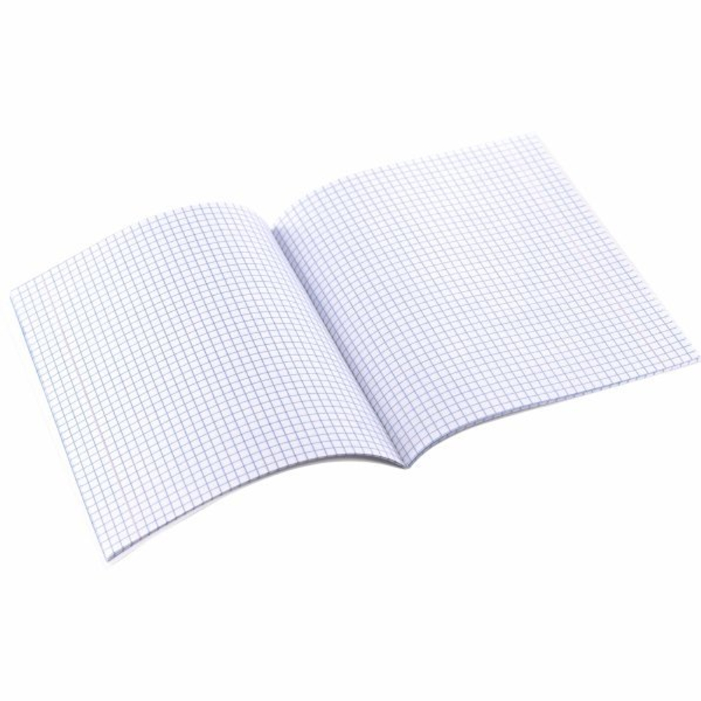 Тетрадь предметная "Алгебра" А5 48л., клетка, со справочным материалом, скрепка, мелованный картон(стандарт), блок офсет, Alingar "Mystical wednesday"