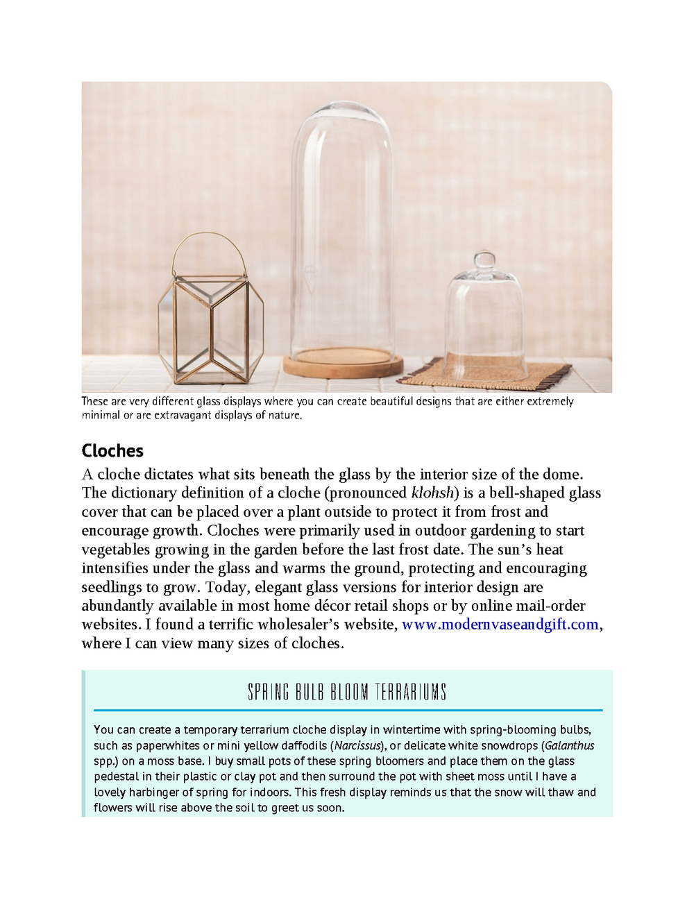 Terrariums - Gardens Under Glass