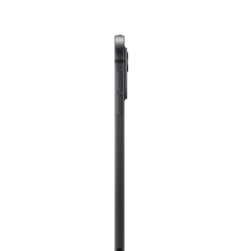 iPad Pro 11” дюймов M4
