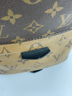 Рюкзак Louis Vuitton Monogram Canvas Palm Springs