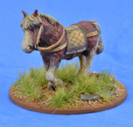 SSC20  Riding Pony