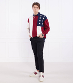 Джинсы THXSM THE SHAWN STR HERO BLACK Tommy Hilfiger - черный(MW0MW31215)