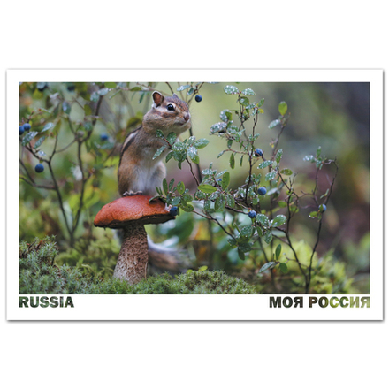 Нерюнгри, Якутия