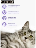 Влажный корм для взрослых кошек 85 г х 12 шт.
