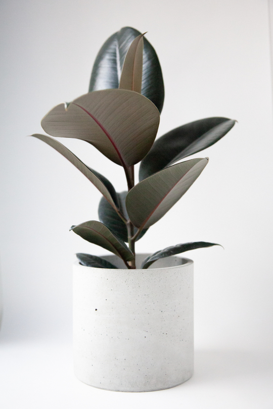 Кашпо Цилиндр 17 серый