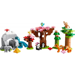 Конструктор LEGO DUPLO - Азиатские дикие животные 10974