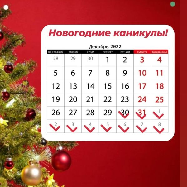 Новогодние каникулы