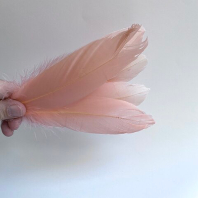 Гусиные перья абрикос 2 сорт 20шт.