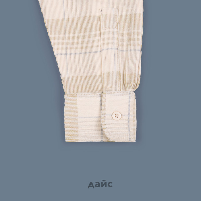 Рубашка мужская Dickies Alma Plaid Long Sleeve Shirt артикул:WLR51CGB - купить в магазине Дайс