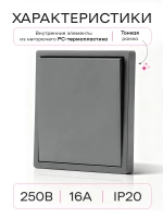 Выключатель одноклавишный внутренний с рамкой серый