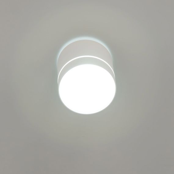 Потолочный светодиодный светильник Citilux Борн CL745020N