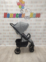 Коляска прогулочная Rant Basic Vega Grey 2024