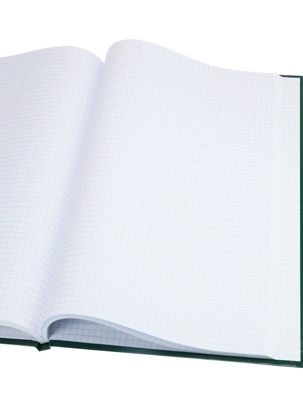 Книга учёта А4, 96л., клетка, обл. твердая 7БЦ, блок офсет, ПрофПресс Зеленая